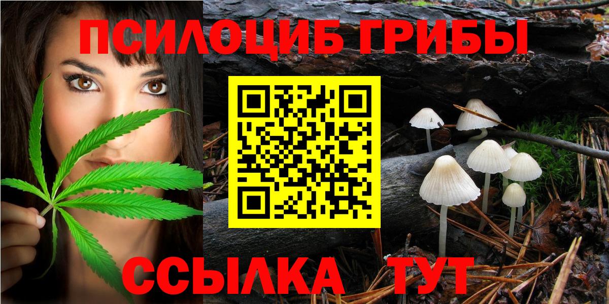 Галлюциногенные грибы мицелий Куйбышев