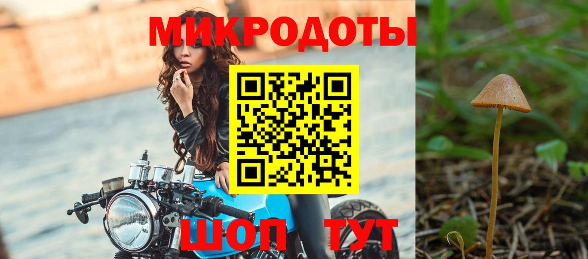 хочу   Вход с VPN  Куйбышев  Галлюциногенные грибы Magic Shrooms 